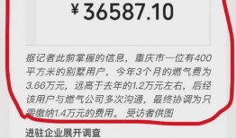 重磅事实爆料视频,事实爆料视频深度解析