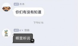 圈内人爆料主播,主播幕后故事大曝光