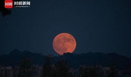 一轮明月在线观看,在线共赏中秋佳节的浪漫之夜