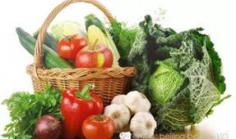 吃瓜网菜网红视频下载,吃瓜网菜网红视频下载攻略