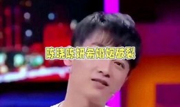 娱乐陈晓吃瓜小说,娱乐圈的甜蜜瓜田