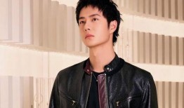 最新爆料顶流男星是谁,最新爆料，这位顶流男星究竟是谁？