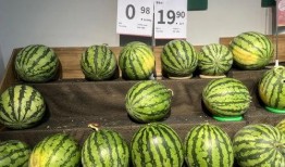 网红吃瓜劲爆图片,劲爆瞬间直击眼球！