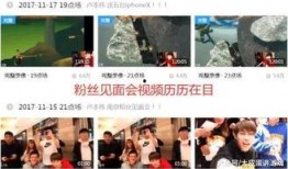 刘晶爆料内容介绍视频大全,视频大全背后的惊人真相
