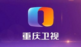 重庆卫视爆料最新消息