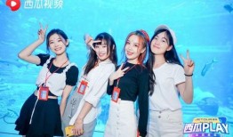 三亚网红爆料视频最新,揭秘隐藏版网红打卡地！