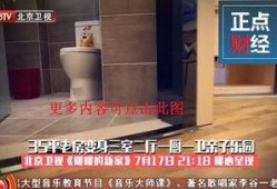 北京卫视回看在线观看,重温经典，尽享精彩瞬间