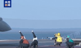 大梅沙爆料新闻,事件详情及最新进展