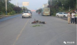 新乡辉县爆料事件最新,真相与争议交织的舆情漩涡