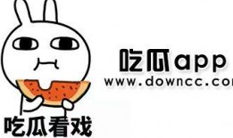 网红吃瓜资料免费app,免费APP带你畅享娱乐圈新鲜资讯