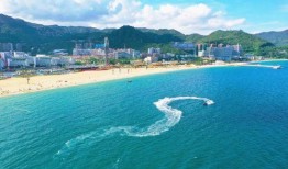 大梅沙爆料新闻,事件详情及最新进展