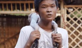 小阳哥被爆料了吗视频,揭秘背后真相