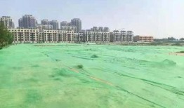 滨州市最新爆料,揭秘城市变迁背后的故事