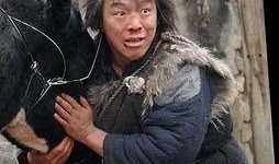 斗牛 电影在线观看,热血激战，生死较量