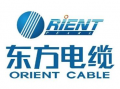 东方电缆最新爆料