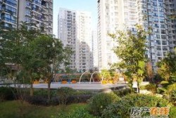 兴丽城11号楼最新爆料,揭秘神秘装修细节与未来居住亮点