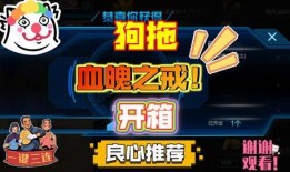 bilibili逆战最新爆料,揭秘全新版本与神秘角色