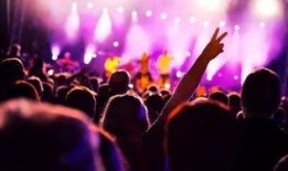 河南音乐节爆料最新消息,璀璨阵容揭晓，狂欢盛宴即将启幕！