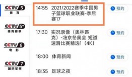 cctv9在线直播观看,探索世界，洞察时代