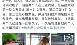 圈内人爆料魏大勋秦岚视频,圈内人爆料背后真相