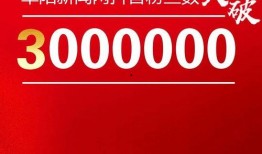 阜阳网红爆料新闻,揭秘当地热门事件背后的真相