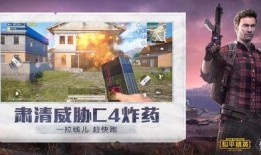 和平精英爆料壮哥视频下载,独家揭秘游戏新动态与精彩瞬间