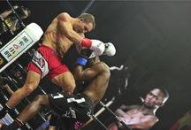 最新拳击爆料,最新爆料揭秘拳击界惊天秘密